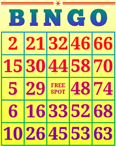 Bingo Karte