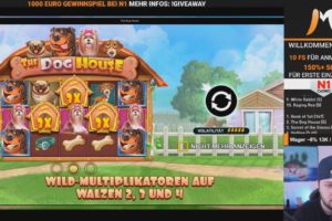 CasinoMoLive The Dog House Vorschau