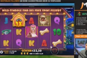 CasinoMoLive The Dog House Vorschau