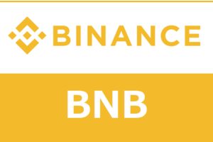 Binance Coin Logo